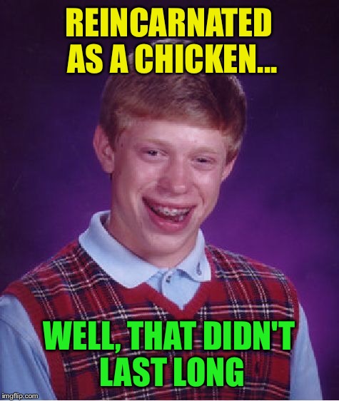 Bad Luck Brian Meme | REINCARNATED AS A CHICKEN... WELL, THAT DIDN'T LAST LONG | image tagged in memes,bad luck brian | made w/ Imgflip meme maker