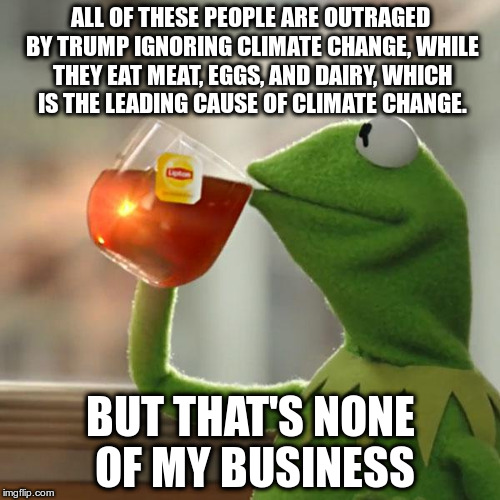 The real leading cause of climate change | ALL OF THESE PEOPLE ARE OUTRAGED BY TRUMP IGNORING CLIMATE CHANGE, WHILE THEY EAT MEAT, EGGS, AND DAIRY, WHICH IS THE LEADING CAUSE OF CLIMATE CHANGE. BUT THAT'S NONE OF MY BUSINESS | image tagged in memes,but thats none of my business,kermit the frog,trump,climate | made w/ Imgflip meme maker