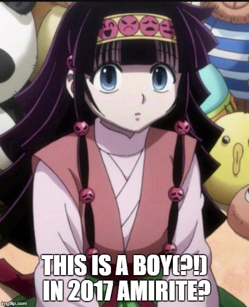 Get jebaited | THIS IS A BOY(?!) IN 2017 AMIRITE? | image tagged in it's a trap,gender,gender bender,rip,trollbait,hunter x hunter | made w/ Imgflip meme maker