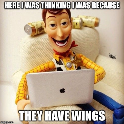 HERE I WAS THINKING I WAS BECAUSE THEY HAVE WINGS | made w/ Imgflip meme maker