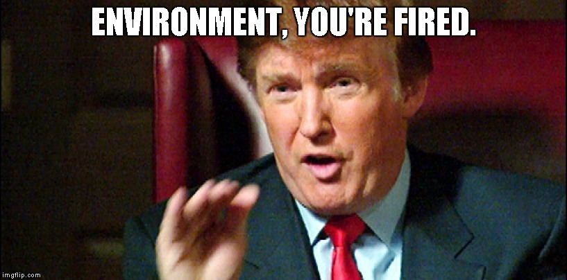 Trump Apprentice - You're Fired | ENVIRONMENT, YOU'RE FIRED. | image tagged in trump apprentice - you're fired | made w/ Imgflip meme maker