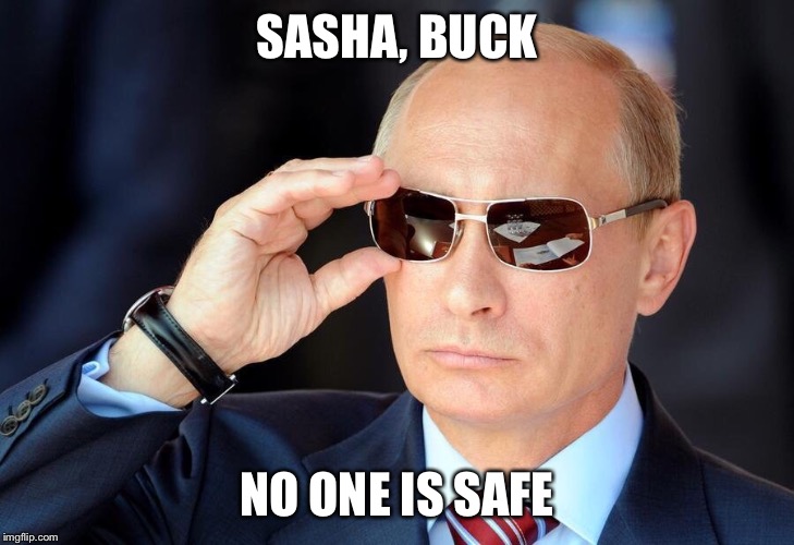 SASHA, BUCK; NO ONE IS SAFE | made w/ Imgflip meme maker