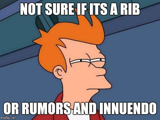 Futurama Fry Meme | NOT SURE IF ITS A RIB; OR RUMORS AND INNUENDO | image tagged in memes,futurama fry | made w/ Imgflip meme maker