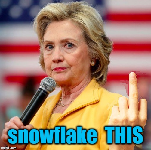 wow! | snowflake  THIS | image tagged in wow | made w/ Imgflip meme maker