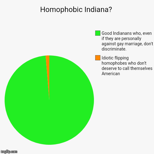 Indiana is #1... And not homophobic. Its called common sense, Brenda! Look it up. | image tagged in funny,pie charts,indiana,common sense,homophobia,funny memes | made w/ Imgflip chart maker