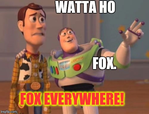 X, X Everywhere Meme | WATTA HO FOX EVERYWHERE! FOX. | image tagged in memes,x x everywhere | made w/ Imgflip meme maker