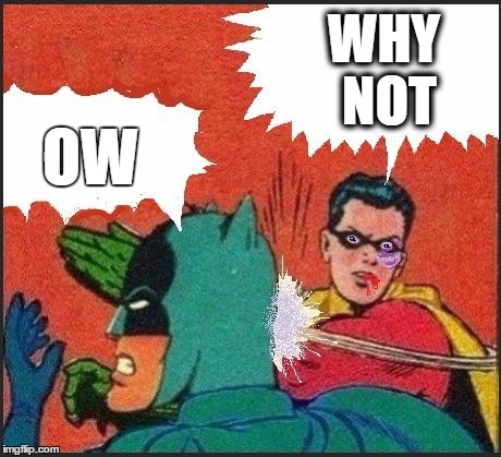 Robin slaps | WHY NOT OW | image tagged in robin slaps | made w/ Imgflip meme maker