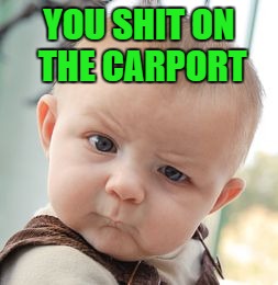 Skeptical Baby Meme | YOU SHIT ON THE CARPORT | image tagged in memes,skeptical baby | made w/ Imgflip meme maker