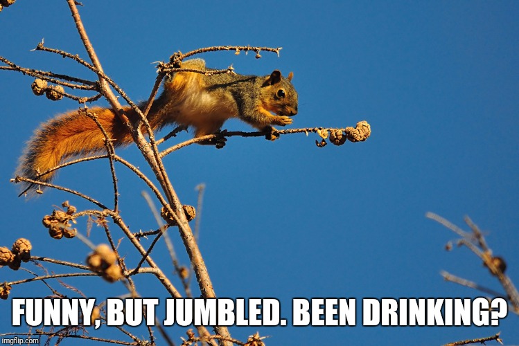 FUNNY, BUT JUMBLED. BEEN DRINKING? | made w/ Imgflip meme maker