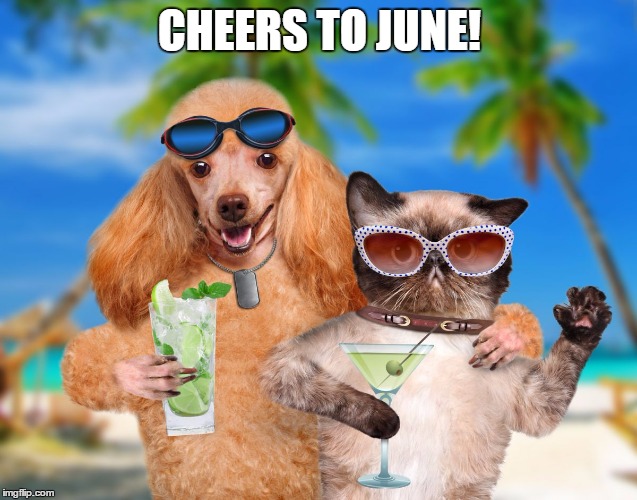 Cat and Dog Sipping Cocktails | CHEERS TO JUNE! | image tagged in cat and dog sipping cocktails | made w/ Imgflip meme maker