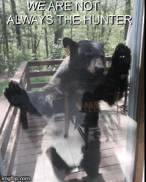 Hunter---hunted ????????????? | image tagged in guns,2nd amendment,funny,donald trump approves | made w/ Imgflip images-to-gif maker