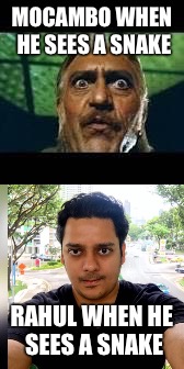 Mocambo v Rahul | MOCAMBO WHEN HE SEES A SNAKE; RAHUL WHEN HE SEES A SNAKE | image tagged in funny,snake | made w/ Imgflip meme maker