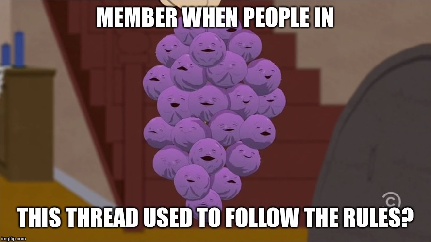 Member Berries Meme | MEMBER WHEN PEOPLE IN; THIS THREAD USED TO FOLLOW THE RULES? | image tagged in memes,member berries | made w/ Imgflip meme maker