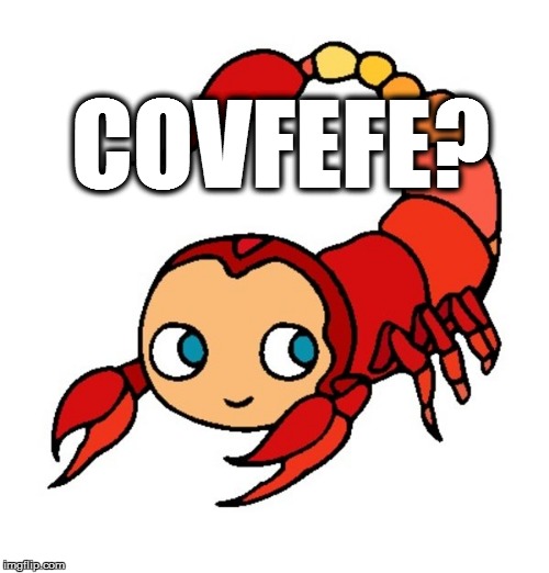 COVFEFE? | image tagged in fefe | made w/ Imgflip meme maker