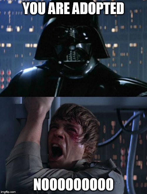 When that moment when your father told you that you were adopted | YOU ARE ADOPTED; NOOOOOOOOO | image tagged in i am your father | made w/ Imgflip meme maker