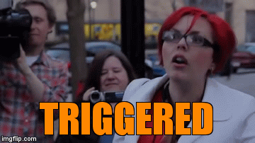 TRIGGERED | image tagged in gifs | made w/ Imgflip video-to-gif maker