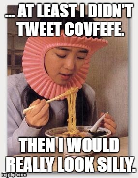 noodles | ... AT LEAST I DIDN'T TWEET COVFEFE. THEN I WOULD REALLY LOOK SILLY. | image tagged in noodles | made w/ Imgflip meme maker