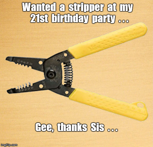 Wire Stripper at party | Wanted  a  stripper  at  my  21st  birthday  party  . . . Gee,  thanks  Sis  . . . | image tagged in wire stripper,bad gift | made w/ Imgflip meme maker