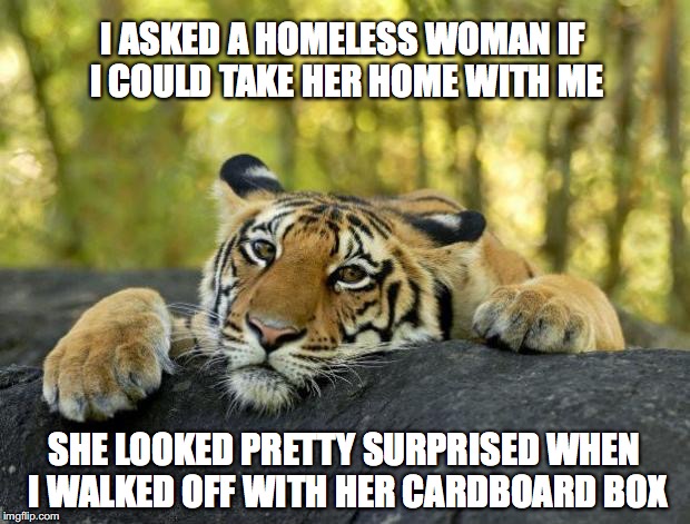 confession tiger hi res | I ASKED A HOMELESS WOMAN IF I COULD TAKE HER HOME WITH ME; SHE LOOKED PRETTY SURPRISED WHEN I WALKED OFF WITH HER CARDBOARD BOX | image tagged in confession tiger hi res,homeless,sick humor | made w/ Imgflip meme maker