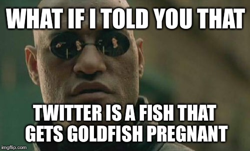Twitter is a fish that gets goldfish pregnant | WHAT IF I TOLD YOU THAT; TWITTER IS A FISH THAT GETS GOLDFISH PREGNANT | image tagged in memes,matrix morpheus,twitter,pregnant fish,alternative facts,goldfish | made w/ Imgflip meme maker