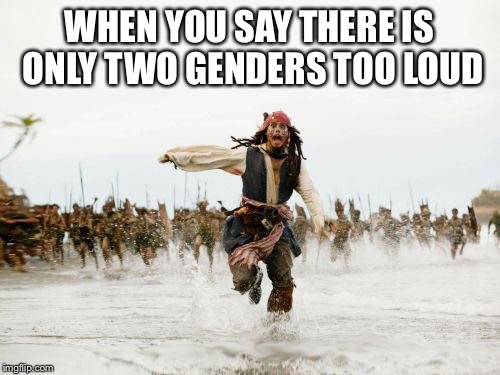 Jack Sparrow Being Chased | WHEN YOU SAY THERE IS ONLY TWO GENDERS TOO LOUD | image tagged in memes,jack sparrow being chased | made w/ Imgflip meme maker