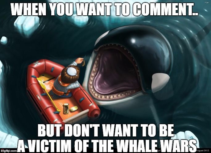 Killer Whale | WHEN YOU WANT TO COMMENT.. BUT DON'T WANT TO BE A VICTIM OF THE WHALE WARS | image tagged in killer whale | made w/ Imgflip meme maker