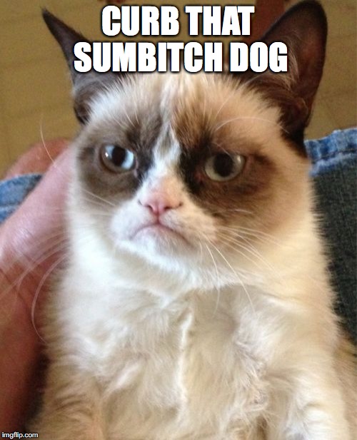 Grumpy Cat Meme | CURB THAT SUMB**CH DOG | image tagged in memes,grumpy cat | made w/ Imgflip meme maker
