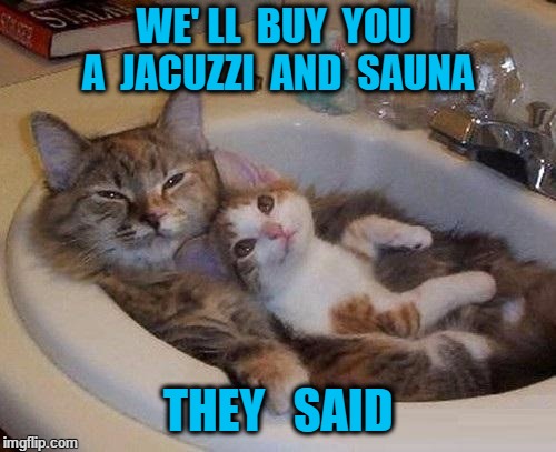 cats in sink | WE' LL  BUY  YOU  A  JACUZZI  AND  SAUNA; THEY   SAID | image tagged in cats in sink | made w/ Imgflip meme maker