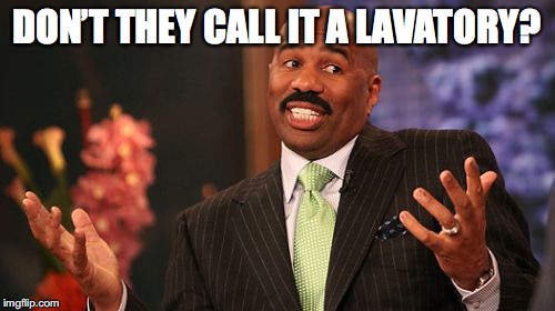 Steve Harvey Meme | DON’T THEY CALL IT A LAVATORY? | image tagged in memes,steve harvey | made w/ Imgflip meme maker