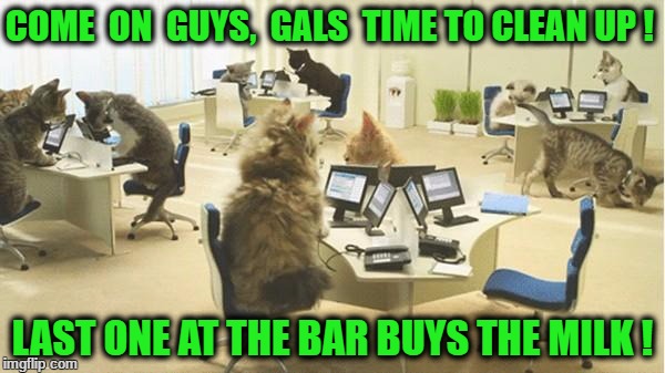 Office cats | COME  ON  GUYS,  GALS  TIME TO CLEAN UP ! LAST ONE AT THE BAR BUYS THE MILK ! | image tagged in office cats | made w/ Imgflip meme maker