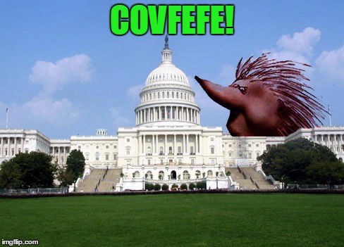 Alright, so I broke down and made one | COVFEFE! | image tagged in covfefe,monty python,i apologize | made w/ Imgflip meme maker