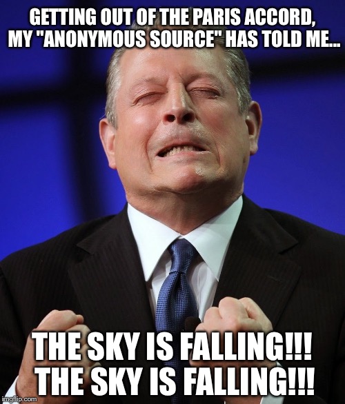 Al gore | GETTING OUT OF THE PARIS ACCORD, MY "ANONYMOUS SOURCE" HAS TOLD ME... THE SKY IS FALLING!!! THE SKY IS FALLING!!! | image tagged in al gore | made w/ Imgflip meme maker