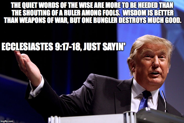 THE QUIET WORDS OF THE WISE ARE MORE TO BE HEEDED THAN THE SHOUTING OF A RULER AMONG FOOLS.

WISDOM IS BETTER THAN WEAPONS OF WAR, BUT ONE BUNGLER DESTROYS MUCH GOOD. ECCLESIASTES 9:17-18, JUST SAYIN' | made w/ Imgflip meme maker