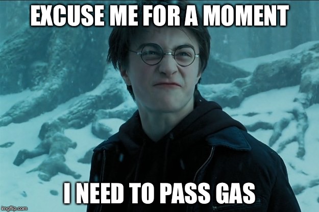 harry potter farts | EXCUSE ME FOR A MOMENT; I NEED TO PASS GAS | image tagged in harry potter farts | made w/ Imgflip meme maker