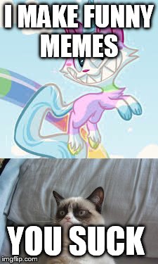 I MAKE FUNNY MEMES; YOU SUCK | image tagged in grumpy cat | made w/ Imgflip meme maker