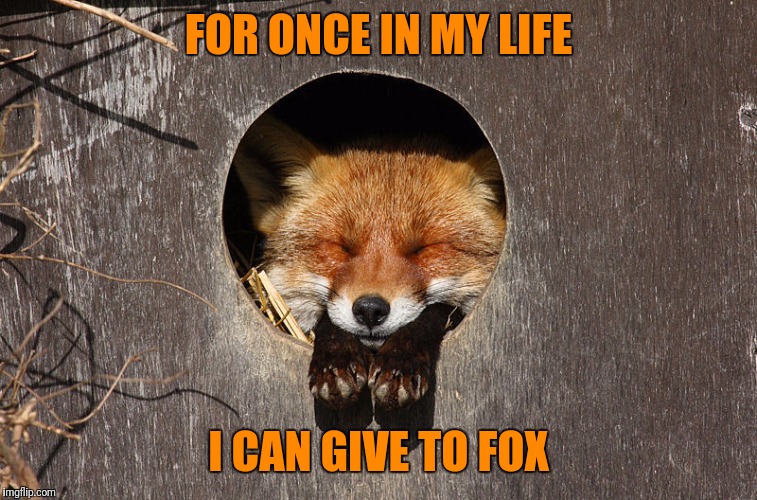 FOR ONCE IN MY LIFE I CAN GIVE TO FOX | made w/ Imgflip meme maker