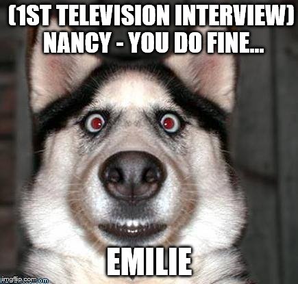 Scared Dog | (1ST TELEVISION INTERVIEW)  NANCY - YOU DO FINE... EMILIE | image tagged in scared dog | made w/ Imgflip meme maker