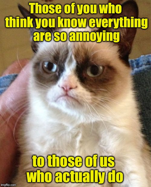 Grumpy Cat | Those of you who think you know everything are so annoying; to those of us who actually do | image tagged in memes,grumpy cat | made w/ Imgflip meme maker