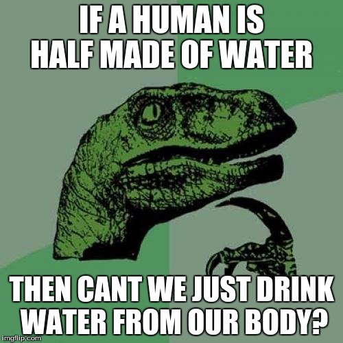 Philosoraptor | IF A HUMAN IS HALF MADE OF WATER; THEN CANT WE JUST DRINK WATER FROM OUR BODY? | image tagged in memes,philosoraptor | made w/ Imgflip meme maker