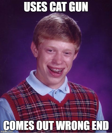 Bad Luck Brian Meme | USES CAT GUN COMES OUT WRONG END | image tagged in memes,bad luck brian | made w/ Imgflip meme maker