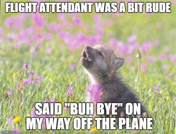Baby Insanity Wolf | FLIGHT ATTENDANT WAS A BIT RUDE; SAID "BUH BYE" ON MY WAY OFF THE PLANE | image tagged in memes,baby insanity wolf,AdviceAnimals | made w/ Imgflip meme maker