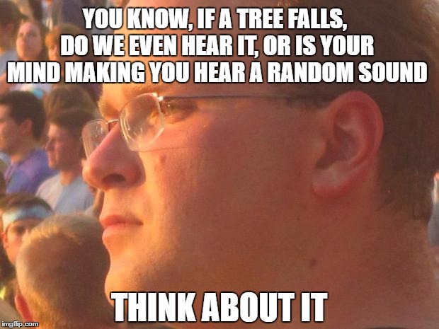 Try to answer it, then write your answer in the comments. Part 1 | YOU KNOW, IF A TREE FALLS, DO WE EVEN HEAR IT, OR IS YOUR MIND MAKING YOU HEAR A RANDOM SOUND; THINK ABOUT IT | image tagged in merini_philosophy,memes | made w/ Imgflip meme maker