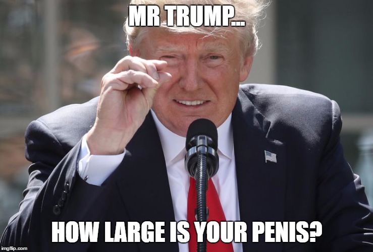 TRUMP IS ASKED A QUESTION | MR TRUMP... HOW LARGE IS YOUR PENIS? | image tagged in trump,donald | made w/ Imgflip meme maker
