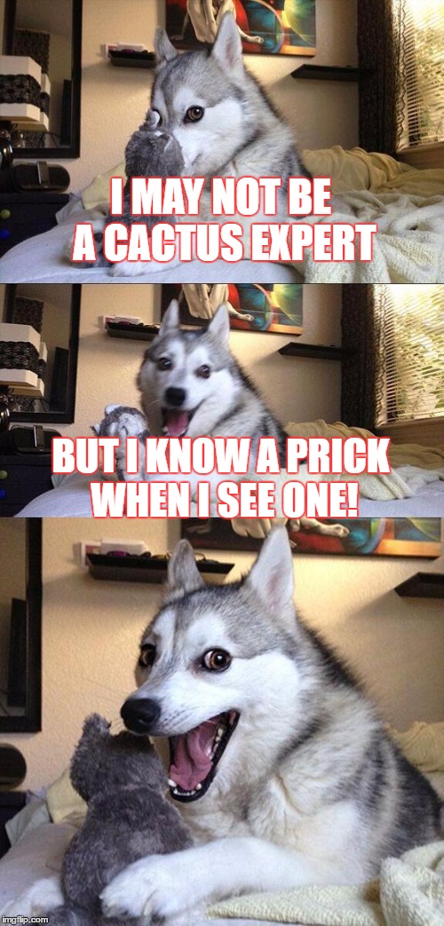 Bad Pun Dog | I MAY NOT BE A CACTUS EXPERT; BUT I KNOW A PRICK WHEN I SEE ONE! | image tagged in memes,bad pun dog | made w/ Imgflip meme maker