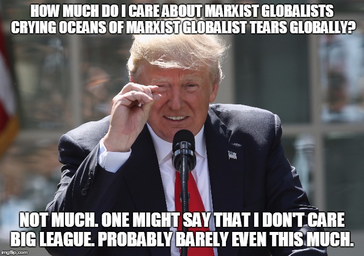 I don't care big league | HOW MUCH DO I CARE ABOUT MARXIST GLOBALISTS CRYING OCEANS OF MARXIST GLOBALIST TEARS GLOBALLY? NOT MUCH. ONE MIGHT SAY THAT I DON'T CARE BIG LEAGUE. PROBABLY BARELY EVEN THIS MUCH. | image tagged in maga,climate change,paris accord,cultural marxism | made w/ Imgflip meme maker