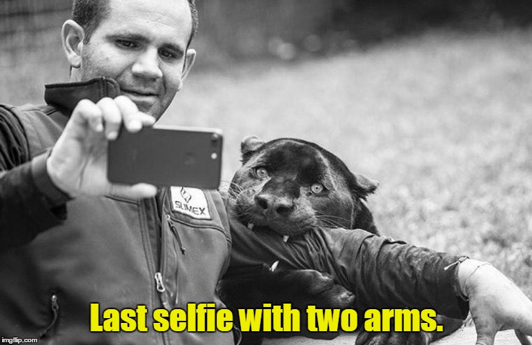 W.T.F. were you thinking? | Last selfie with two arms. | image tagged in funny,selfie,animal,amputee | made w/ Imgflip meme maker