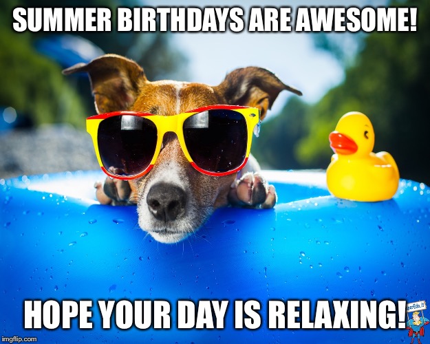 SummerDog | SUMMER BIRTHDAYS ARE AWESOME! HOPE YOUR DAY IS RELAXING! | image tagged in summerdog | made w/ Imgflip meme maker