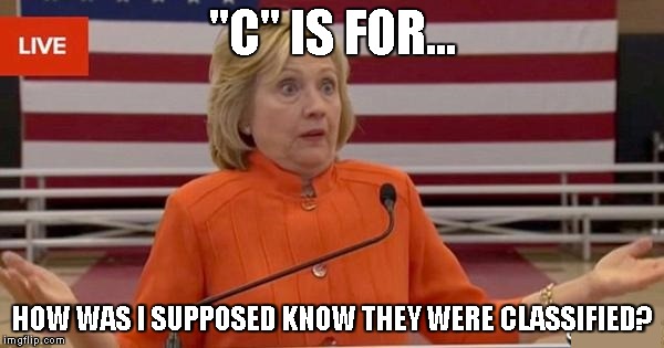 WTF Hillary? | "C" IS FOR... HOW WAS I SUPPOSED KNOW THEY WERE CLASSIFIED? | image tagged in wtf hillary | made w/ Imgflip meme maker