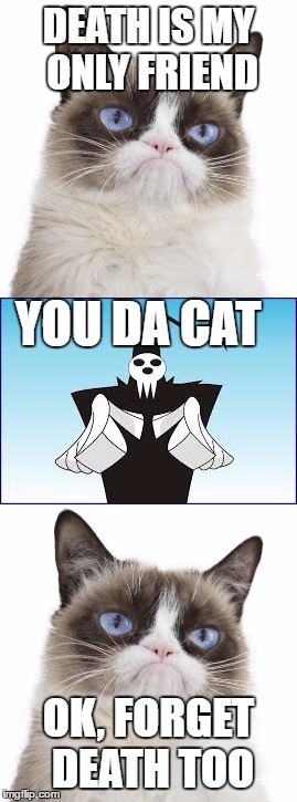 DEATH IS MY ONLY FRIEND; YOU DA CAT; OK, FORGET DEATH TOO | image tagged in soul eater,grumpy cat,memes | made w/ Imgflip meme maker