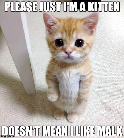 Cute Cat Meme | PLEASE JUST I'M A KITTEN; DOESN'T MEAN I LIKE MALK | image tagged in memes,cute cat | made w/ Imgflip meme maker